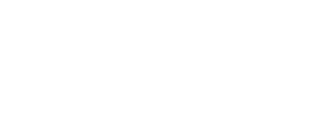 Depuy Synthes